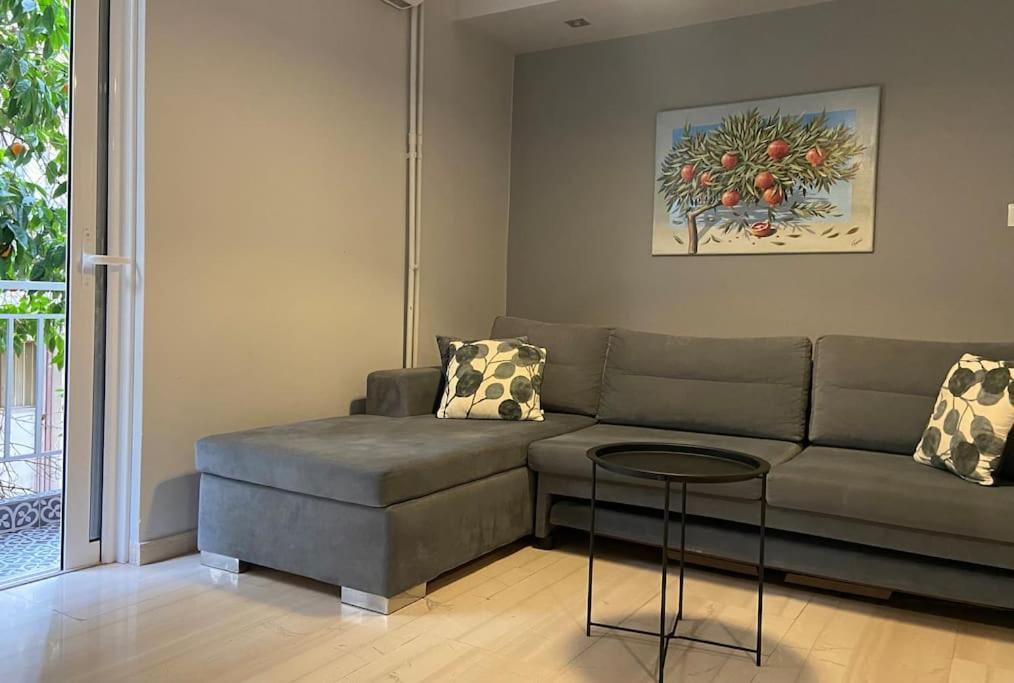 Koukaki Urban And Cozy Apartment 아테네 외부 사진